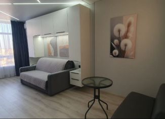 Сдаю в аренду однокомнатную квартиру, 45 м2, Ростов-на-Дону, Красноармейская улица, 157В/83с3