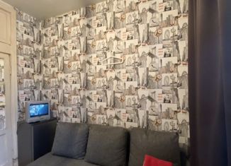 Сдам в аренду квартиру студию, 15 м2, Санкт-Петербург, Новочеркасский проспект, 15