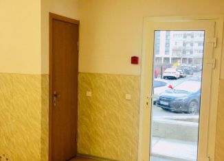 Сдаю в аренду помещение свободного назначения, 27 м2, Санкт-Петербург, улица Асафьева, 5к1