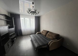 1-ком. квартира в аренду, 40 м2, Тверь, улица Левитана, 58к1