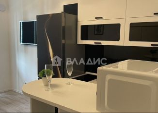 Квартира на продажу студия, 20.8 м2, Санкт-Петербург, набережная реки Каменки, 23, муниципальный округ Коломяги