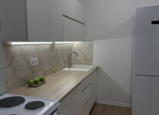 1-ком. квартира в аренду, 32 м2, Щербинка, улица Мостотреста, 10к1