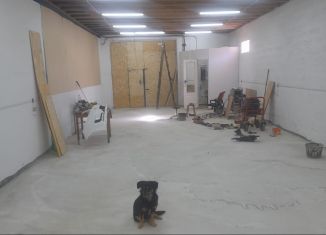 Сдаю в аренду гараж, 30 м2, Екатеринбург, проспект Космонавтов, 241