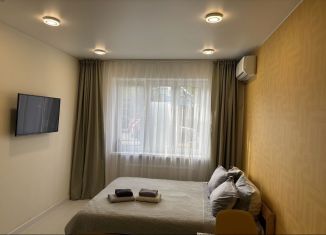 Аренда квартиры студии, 20 м2, Саратов, улица имени В.Н. Симбирцева, 44