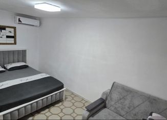 Сдается в аренду дом, 40 м2, Геленджик, Парусная улица, 10