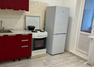 Сдам в аренду однокомнатную квартиру, 35 м2, Новосибирск, улица Ключ-Камышенское Плато, 13, Октябрьский район