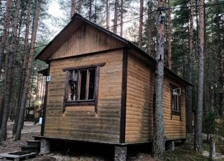 Сдам дом, 10 м2, посёлок при железнодорожной станции Лосево, Прибрежная улица