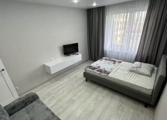 Сдам в аренду 1-ком. квартиру, 37 м2, Татарстан, улица Петра Полушкина, 4