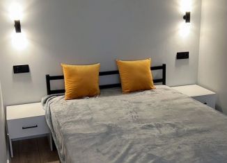 1-ком. квартира в аренду, 30 м2, Татарстан, улица Фрунзе, 17