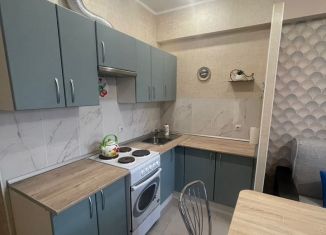 Продается квартира студия, 24 м2, Ставрополь, проспект Кулакова, 65