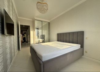 Сдаю в аренду однокомнатную квартиру, 50 м2, Татарстан, Чистопольская улица, 61Д