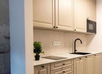 Продаю квартиру студию, 21.9 м2, Санкт-Петербург, Северный проспект, 123к3