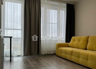 Продаю квартиру студию, 29 м2, Санкт-Петербург, Витебский проспект, 99к1