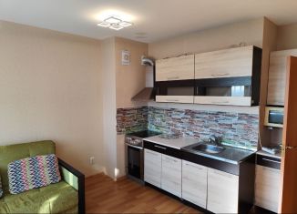 Сдам квартиру студию, 29 м2, посёлок Парголово, Толубеевский проезд, 24