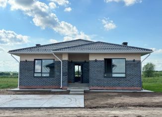 Продается дом, 150 м2, деревня Чернышевка, улица Изобилия