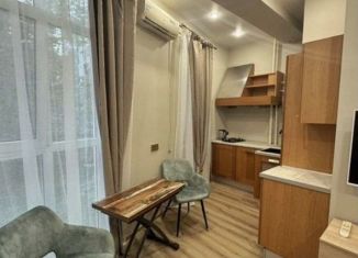 Продажа квартиры студии, 20 м2, Сочи, улица Метелёва, 6/5, микрорайон Яна Фабрициуса