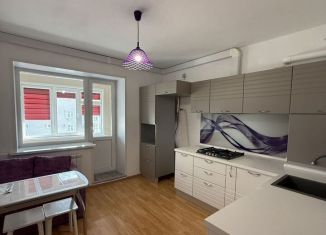 Аренда 1-ком. квартиры, 50 м2, Белгород, улица Газовиков, 11