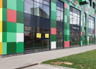 Сдаю помещение свободного назначения, 140 м2, Санкт-Петербург, Комендантский проспект, 58к1