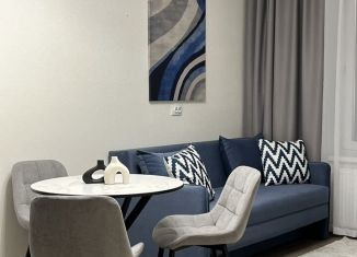 Аренда однокомнатной квартиры, 34 м2, Санкт-Петербург, Ивинская улица, 19к1