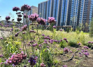 Продам 1-ком. квартиру, 36.2 м2, Краснодар, микрорайон Образцово