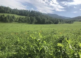 Продаю участок, 10 сот., Республика Алтай, Центральная улица