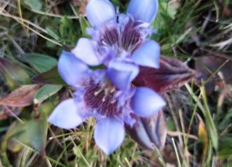 Продажа участка, 10 сот., Краснодарский край