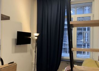 Сдам в аренду квартиру студию, 21 м2, Санкт-Петербург, Кузнечный переулок, 14Б