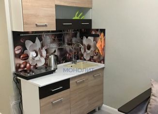 Квартира на продажу студия, 17.7 м2, Москва, аллея Первой Маёвки, 15с1, ВАО