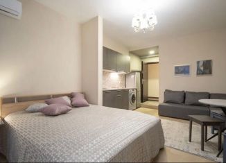 Сдача в аренду квартиры студии, 38 м2, Санкт-Петербург, улица Достоевского, 24/9