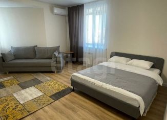 Сдается в аренду 1-комнатная квартира, 50 м2, Хабаровск, улица имени Лейтенанта С.В. Орлова, 8