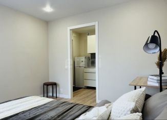 Продается квартира студия, 17.5 м2, Воронеж, улица Перевёрткина, 45