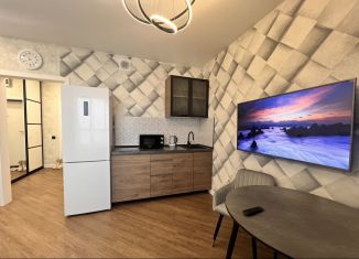 Сдается в аренду квартира студия, 28 м2, Новосибирск, Ипподромская улица, 12, Октябрьский район