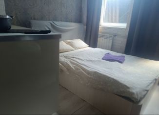 Сдача в аренду квартиры студии, 20 м2, Санкт-Петербург, Старо-Петергофский проспект, 26Б