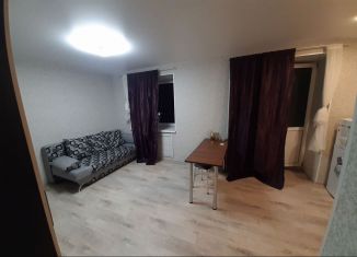 Сдам квартиру студию, 30 м2, Пермь, Красногвардейская улица, 27