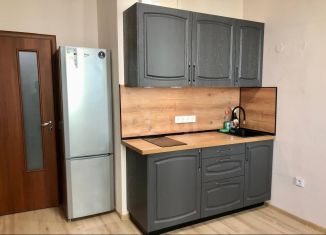 Продается квартира студия, 24 м2, Мурино, Охтинская аллея, 14, ЖК Мой Город