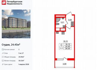 Продается квартира студия, 24.5 м2, Санкт-Петербург, метро Улица Дыбенко