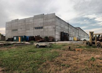 Сдам офис, 2000 м2, Краснодарский край, Промышленная улица, 15А