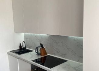 Аренда двухкомнатной квартиры, 50 м2, Ростов-на-Дону, улица Ерёменко, 114