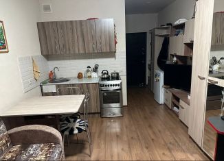 Сдается квартира студия, 28 м2, Королёв, Бурковский проезд, 44к3