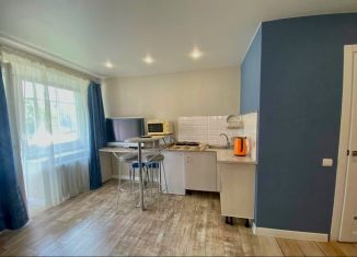 Сдается в аренду квартира студия, 18 м2, Йошкар-Ола, Красноармейская улица, 105А, микрорайон Свердлова