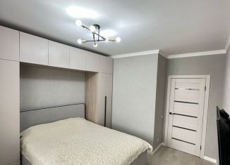 Сдача в аренду 2-ком. квартиры, 41.8 м2, Санкт-Петербург, Комендантский проспект, 27к1