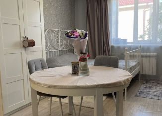 Продам квартиру студию, 25.9 м2, Архангельск, проспект Обводный канал, 8к5