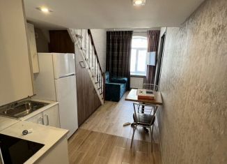 Сдается в аренду квартира студия, 25 м2, Санкт-Петербург, Средний проспект Васильевского острова, 42/25