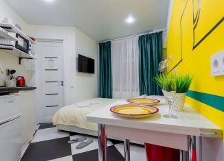 Сдаю в аренду квартиру студию, 15 м2, Санкт-Петербург, набережная Макарова, 16/2Б