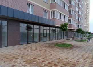 Аренда помещения свободного назначения, 19.2 м2, Ростов-на-Дону, Уланская улица, 17с1, Октябрьский район