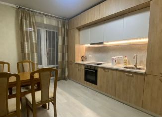 Аренда однокомнатной квартиры, 51 м2, Татарстан, улица Разведчика Ахмерова, 5