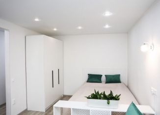 Сдаю 1-ком. квартиру, 33 м2, Татарстан, улица Нурсултана Назарбаева, 72