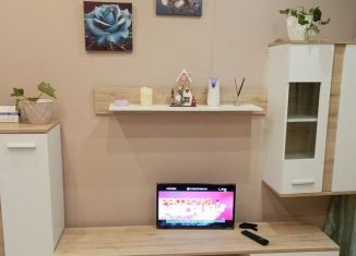 Сдача в аренду однокомнатной квартиры, 32 м2, Калининград, улица Александра Невского, 255