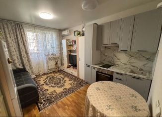 Квартира на продажу студия, 28 м2, Ростов-на-Дону, 2-я улица Володарского, 170/41, Железнодорожный район