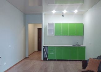 Продам квартиру студию, 27.6 м2, село Новая Усмань, Раздольная улица, 1